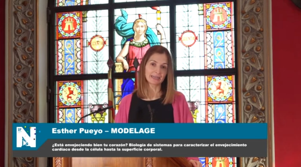 Proyecto Modelage