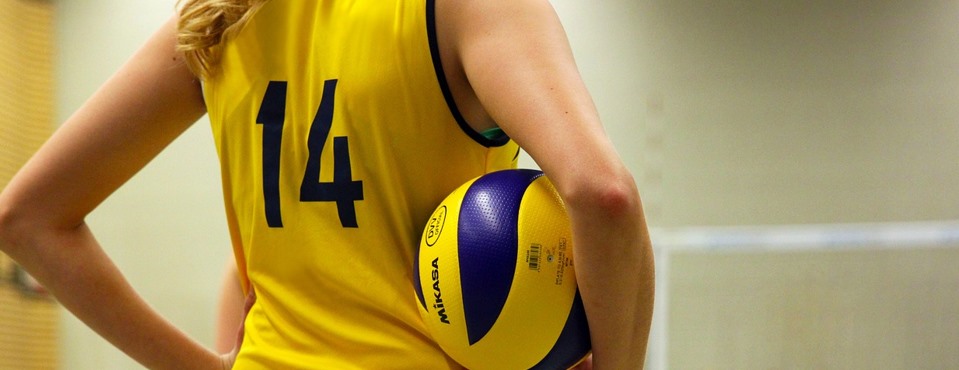Comisión para el seguimiento y apoyo a deportistas de alto rendimiento/nivel