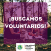 Voluntarios Erasmus+ 2