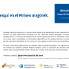 Ateneo 344 Las estaciones de esquí en el Pirineo aragonés: luces y sombras