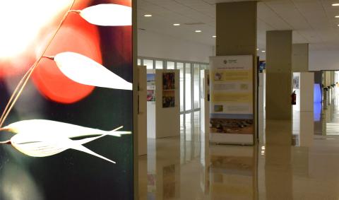 Exposición Formación Pedagógica a las maestras de los Campamentos Saharauis