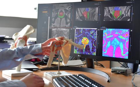 Jornadas de Ingeniería Biomédica